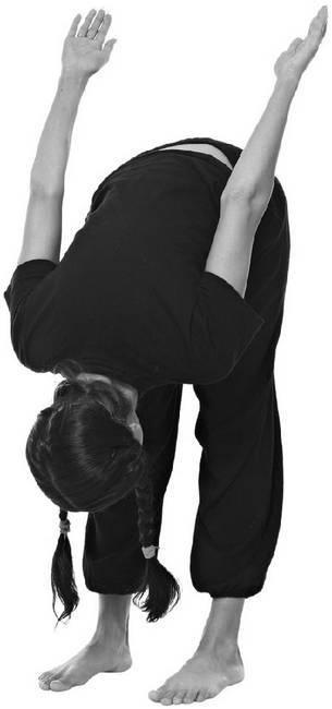 Иллюстрация к книге — Тайцзи. Секреты здоровья [i_040.jpg]