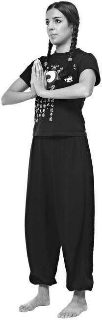 Иллюстрация к книге — Тайцзи. Секреты здоровья [i_041.jpg]