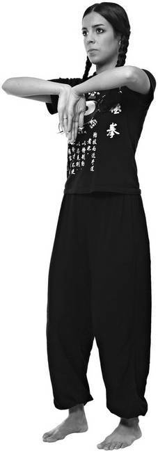 Иллюстрация к книге — Тайцзи. Секреты здоровья [i_042.jpg]