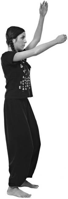 Иллюстрация к книге — Тайцзи. Секреты здоровья [i_045.jpg]