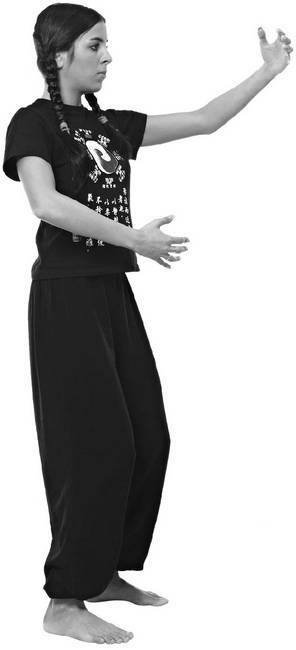 Иллюстрация к книге — Тайцзи. Секреты здоровья [i_046.jpg]