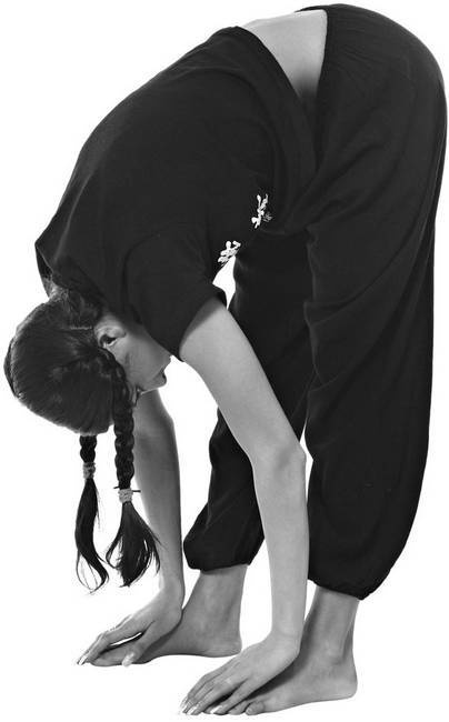 Иллюстрация к книге — Тайцзи. Секреты здоровья [i_053.jpg]