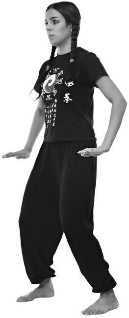 Иллюстрация к книге — Тайцзи. Секреты здоровья [i_054.jpg]