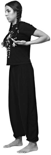 Иллюстрация к книге — Тайцзи. Секреты здоровья [i_058.jpg]