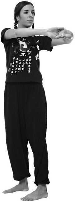 Иллюстрация к книге — Тайцзи. Секреты здоровья [i_059.jpg]