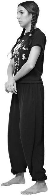 Иллюстрация к книге — Тайцзи. Секреты здоровья [i_061.jpg]