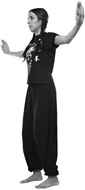 Иллюстрация к книге — Тайцзи. Секреты здоровья [i_062.jpg]