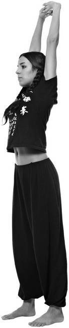 Иллюстрация к книге — Тайцзи. Секреты здоровья [i_064.jpg]