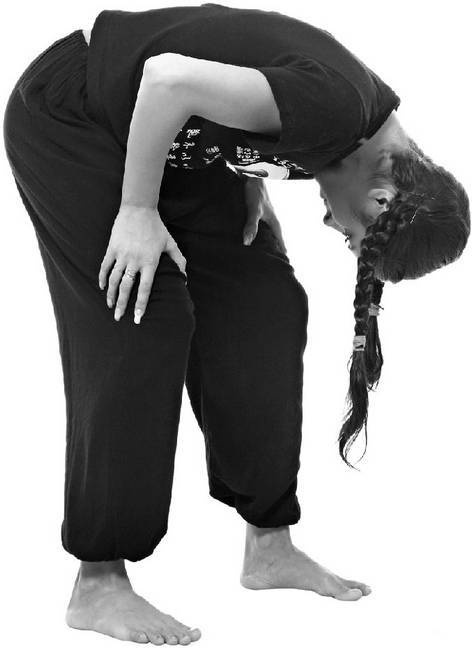 Иллюстрация к книге — Тайцзи. Секреты здоровья [i_068.jpg]