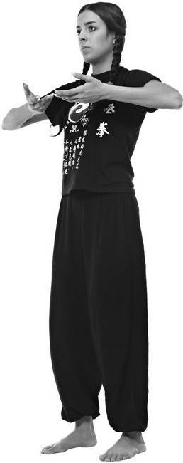 Иллюстрация к книге — Тайцзи. Секреты здоровья [i_074.jpg]