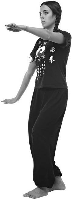 Иллюстрация к книге — Тайцзи. Секреты здоровья [i_075.jpg]