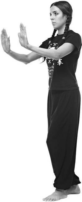 Иллюстрация к книге — Тайцзи. Секреты здоровья [i_076.jpg]