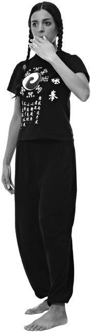 Иллюстрация к книге — Тайцзи. Секреты здоровья [i_080.jpg]