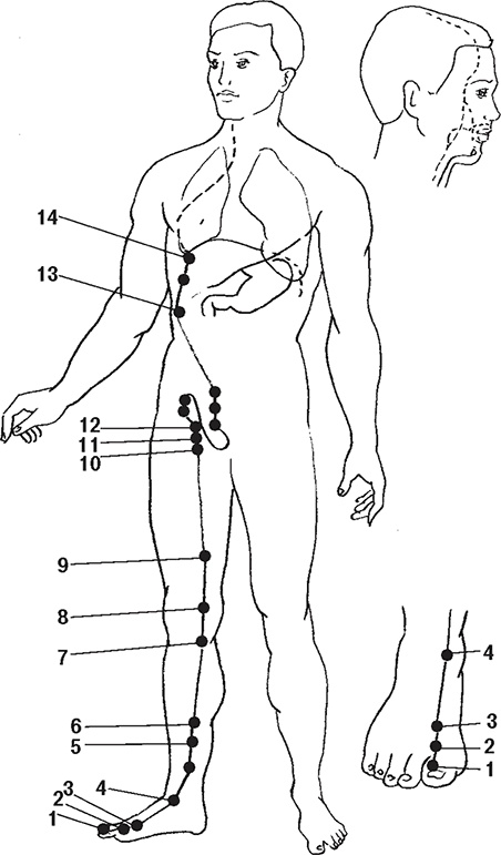 Иллюстрация к книге — Восточные секреты омоложения [Autogen_eBook_id11.jpg]
