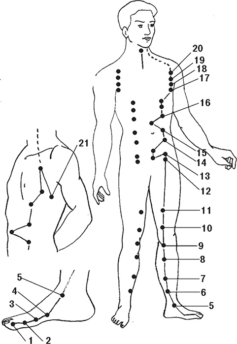 Иллюстрация к книге — Восточные секреты омоложения [Autogen_eBook_id6.jpg]