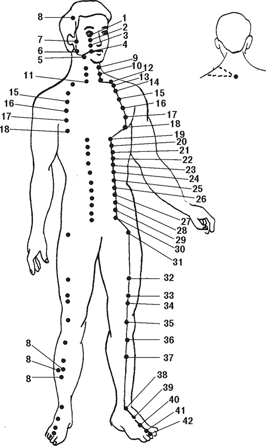 Иллюстрация к книге — Восточные секреты омоложения [Autogen_eBook_id8.jpg]