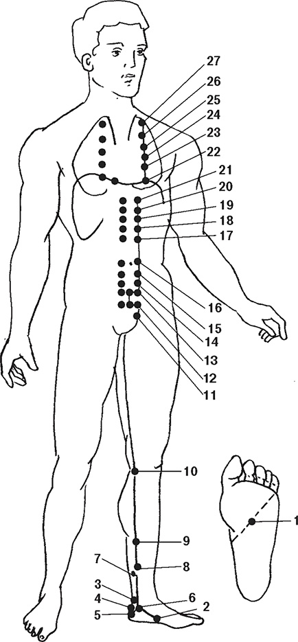 Иллюстрация к книге — Восточные секреты омоложения [Autogen_eBook_id9.jpg]