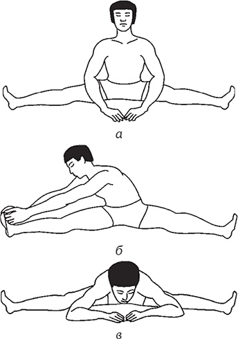 Иллюстрация к книге — Здоровье из Поднебесной. Парчовые упражнения [Autogen_eBook_id32.jpg]