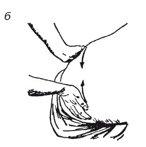 Иллюстрация к книге — Исцеляющие методики массажа. Комплексный подход [i_015.jpg]