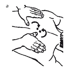 Иллюстрация к книге — Исцеляющие методики массажа. Комплексный подход [i_017.jpg]