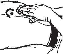 Иллюстрация к книге — Исцеляющие методики массажа. Комплексный подход [i_019.jpg]