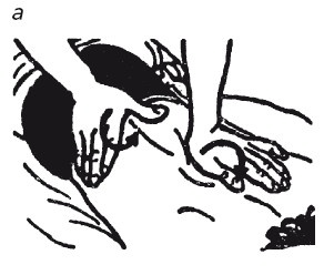 Иллюстрация к книге — Исцеляющие методики массажа. Комплексный подход [i_026.jpg]