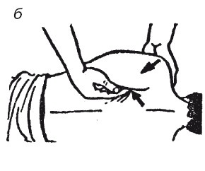 Иллюстрация к книге — Исцеляющие методики массажа. Комплексный подход [i_030.jpg]