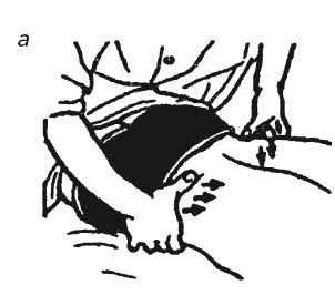 Иллюстрация к книге — Исцеляющие методики массажа. Комплексный подход [i_032.jpg]