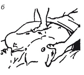 Иллюстрация к книге — Исцеляющие методики массажа. Комплексный подход [i_035.jpg]