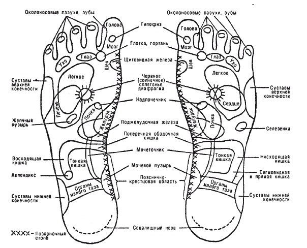 Иллюстрация к книге — Исцеляющие методики массажа. Комплексный подход [i_037.jpg]