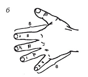Иллюстрация к книге — Исцеляющие методики массажа. Комплексный подход [i_049.jpg]