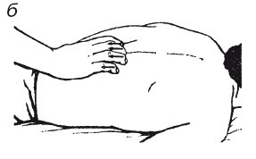 Иллюстрация к книге — Исцеляющие методики массажа. Комплексный подход [i_056.jpg]