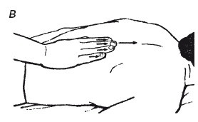 Иллюстрация к книге — Исцеляющие методики массажа. Комплексный подход [i_057.jpg]