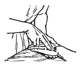 Иллюстрация к книге — Исцеляющие методики массажа. Комплексный подход [i_061.jpg]