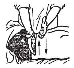 Иллюстрация к книге — Исцеляющие методики массажа. Комплексный подход [i_063.jpg]