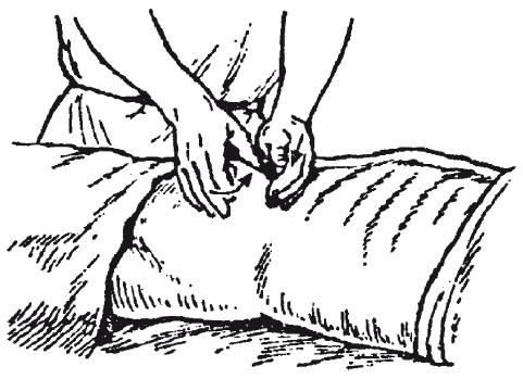 Иллюстрация к книге — Исцеляющие методики массажа. Комплексный подход [i_072.jpg]