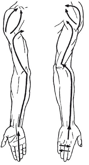 Иллюстрация к книге — Исцеляющие методики массажа. Комплексный подход [i_086.jpg]