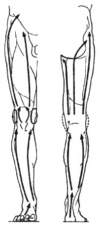 Иллюстрация к книге — Исцеляющие методики массажа. Комплексный подход [i_087.jpg]