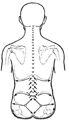 Иллюстрация к книге — Исцеляющие методики массажа. Комплексный подход [i_090.jpg]