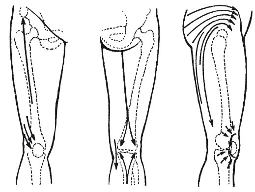 Иллюстрация к книге — Исцеляющие методики массажа. Комплексный подход [i_097.jpg]