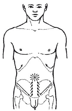 Иллюстрация к книге — Исцеляющие методики массажа. Комплексный подход [i_101.jpg]