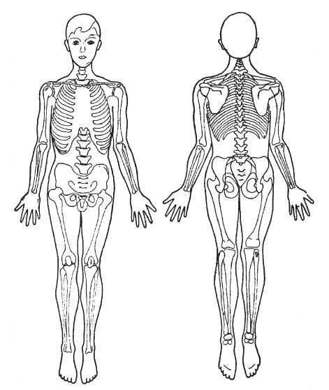 Иллюстрация к книге — Исцеляющие методики массажа. Комплексный подход [i_103.jpg]