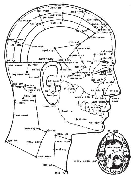 Иллюстрация к книге — Исцеляющие методики массажа. Комплексный подход [i_107.jpg]