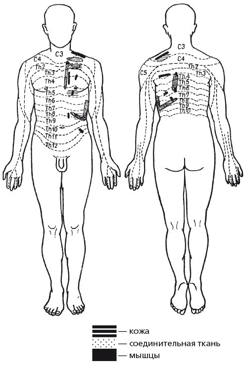 Иллюстрация к книге — Исцеляющие методики массажа. Комплексный подход [i_114.jpg]