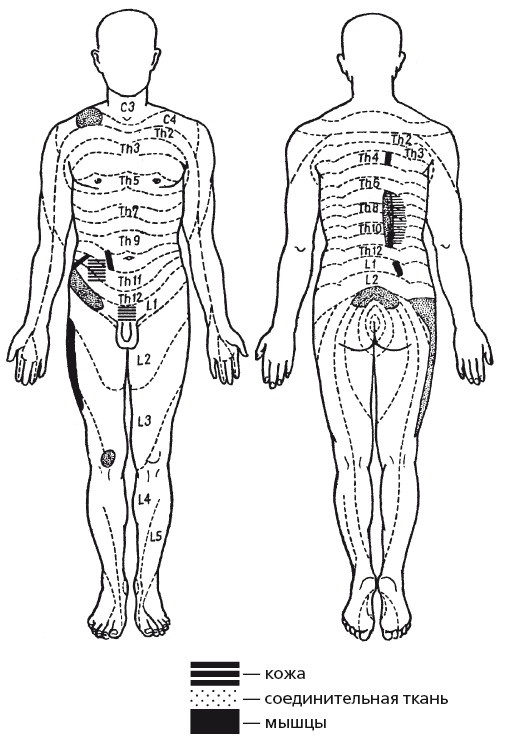 Иллюстрация к книге — Исцеляющие методики массажа. Комплексный подход [i_116.jpg]