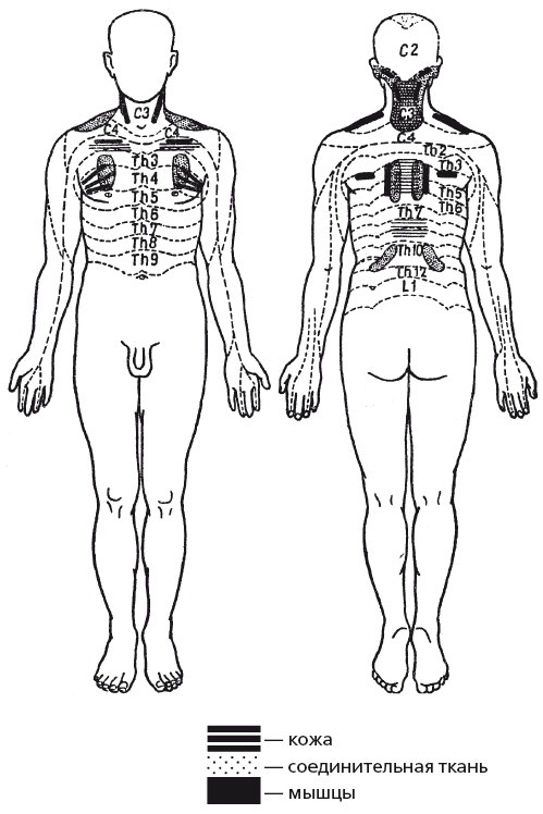Иллюстрация к книге — Исцеляющие методики массажа. Комплексный подход [i_119.jpg]