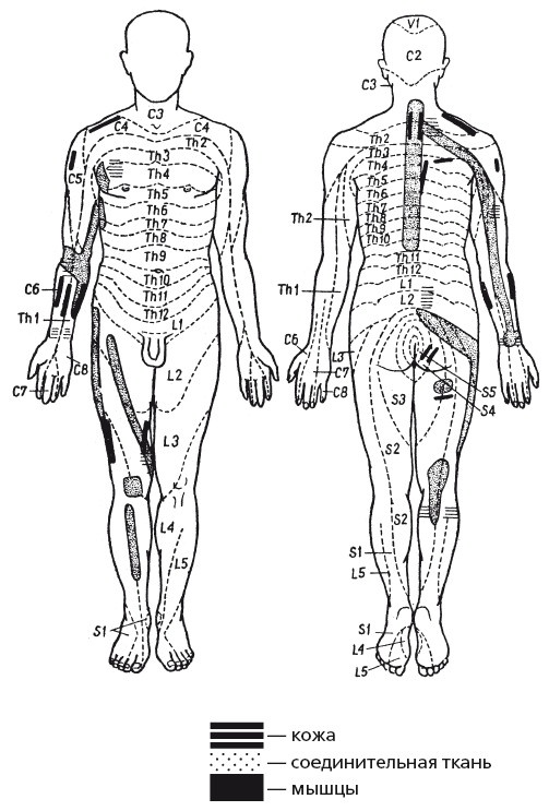 Иллюстрация к книге — Исцеляющие методики массажа. Комплексный подход [i_122.jpg]