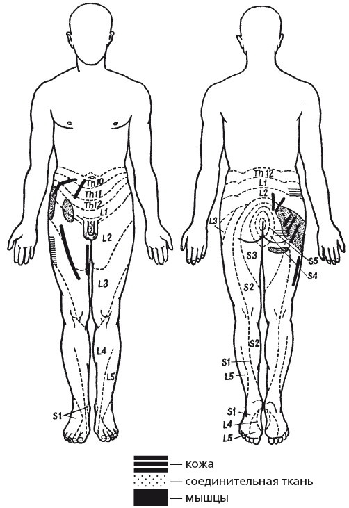 Иллюстрация к книге — Исцеляющие методики массажа. Комплексный подход [i_125.jpg]