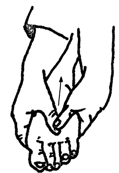 Иллюстрация к книге — Исцеляющие точки организма. Самые надежные техники самопомощи [i_009.jpg]