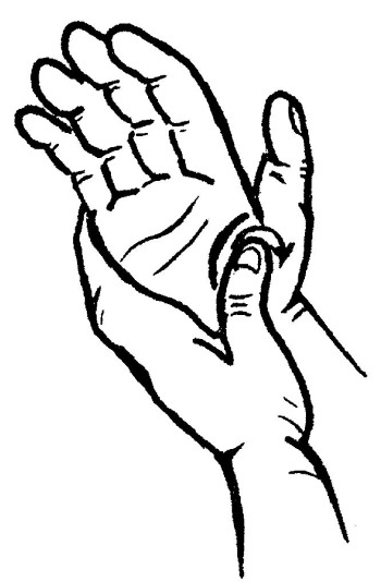 Иллюстрация к книге — Исцеляющие точки организма. Самые надежные техники самопомощи [i_010.jpg]